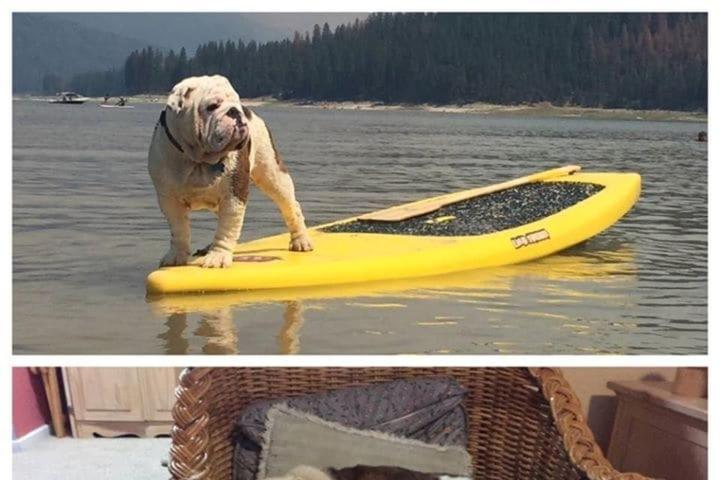 Near Yosemite Bass With Hot Tub, View, Pet Friendly Bass Lake