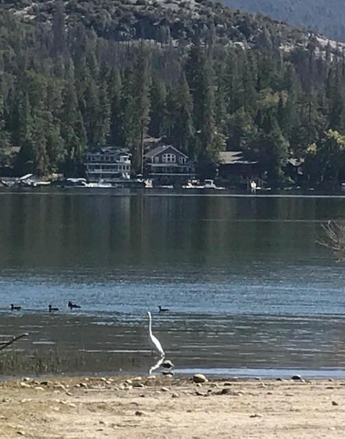 Near Yosemite Bass With Hot Tub, View, Pet Friendly Holiday home Bass Lake